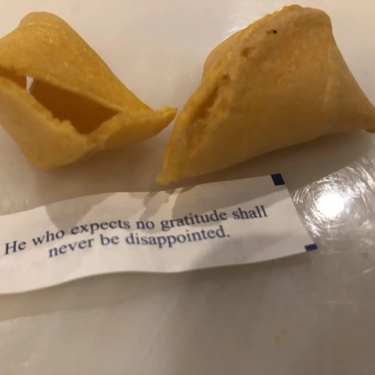 Fortune Cookies