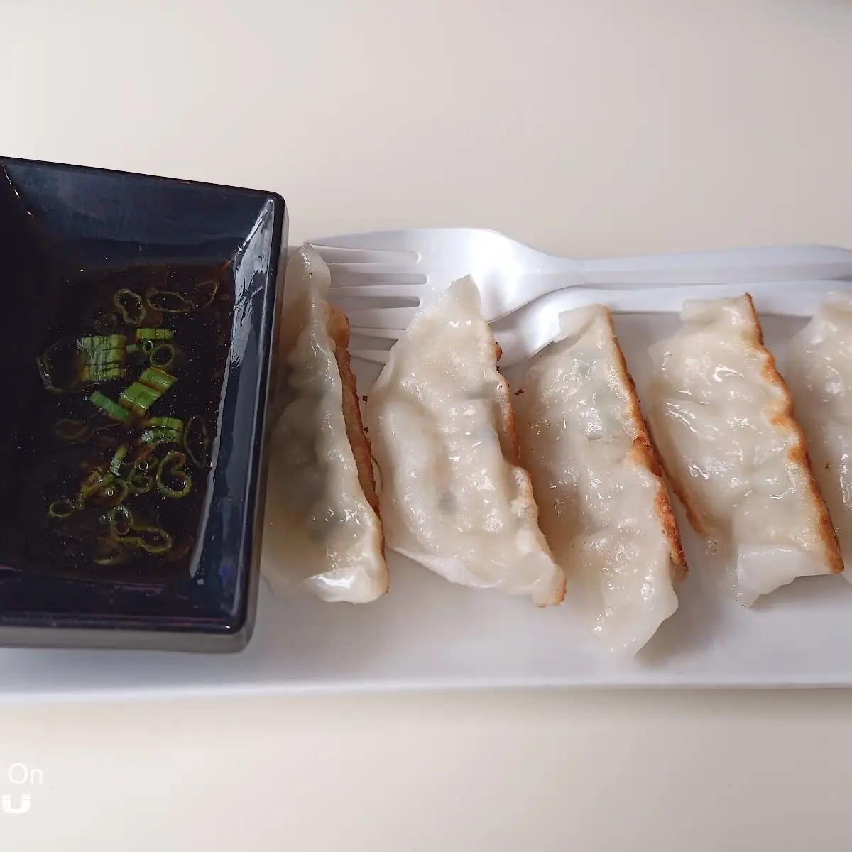 Pan Fried Gyoza