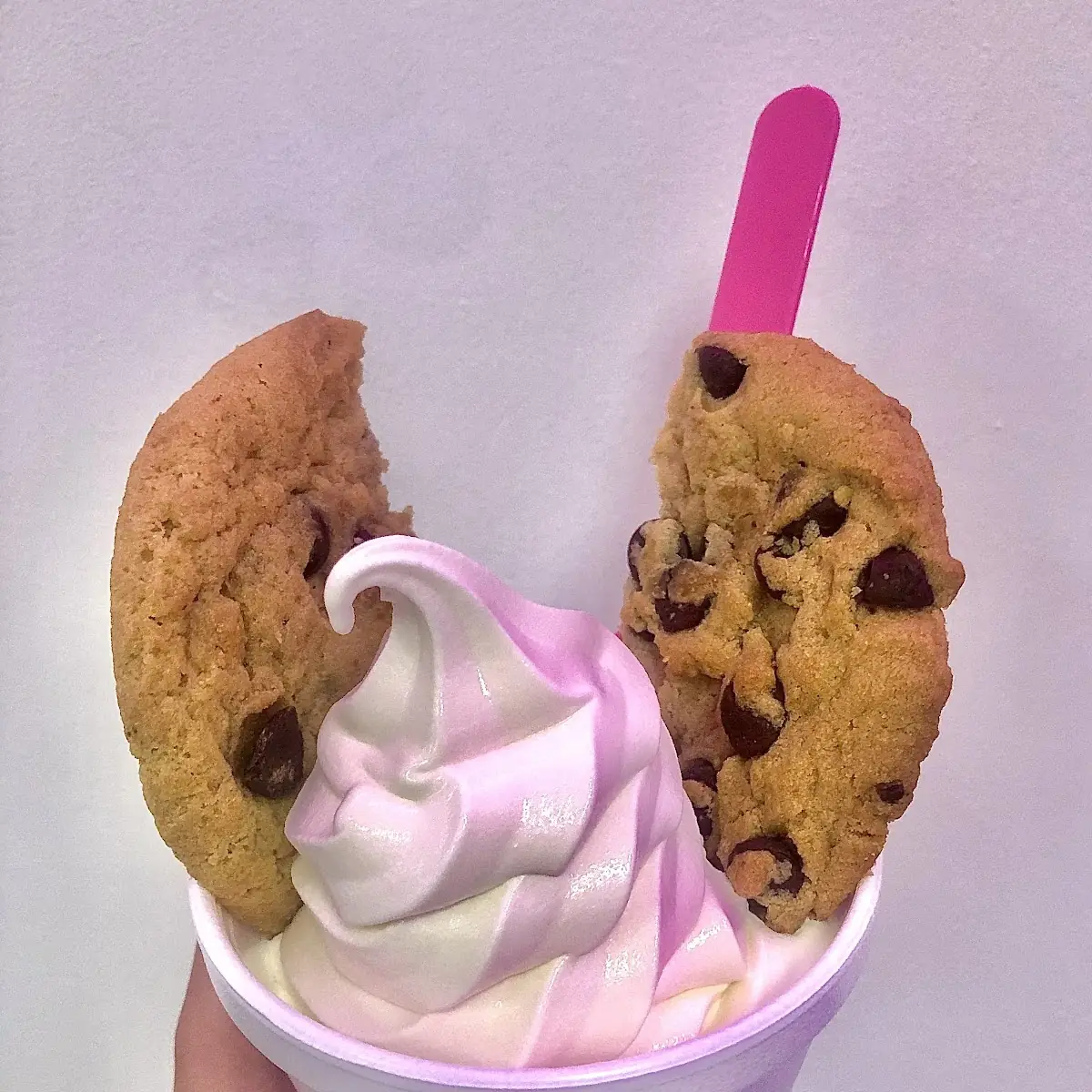 Vanilla Ice Cream with Cookie