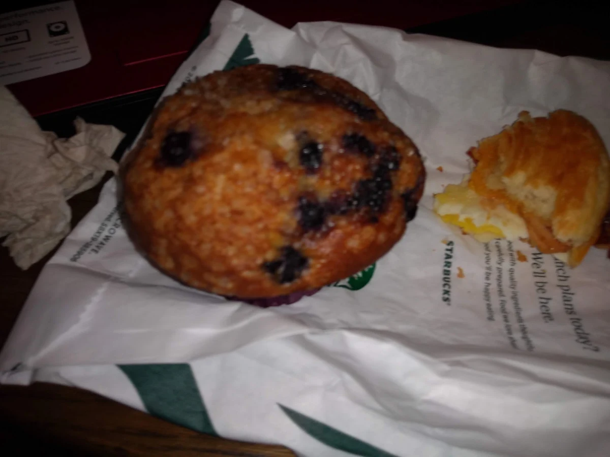 Blueberry Muffin
