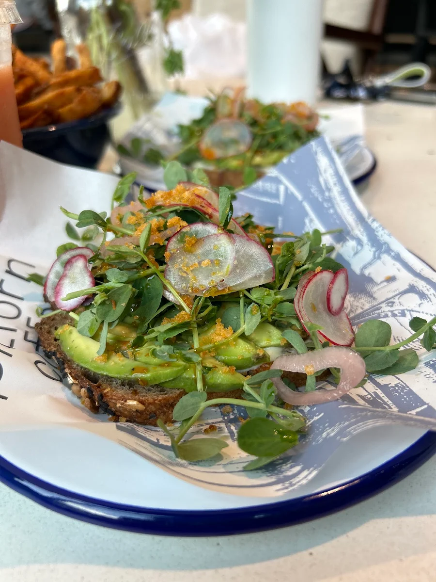 Avocado Toast