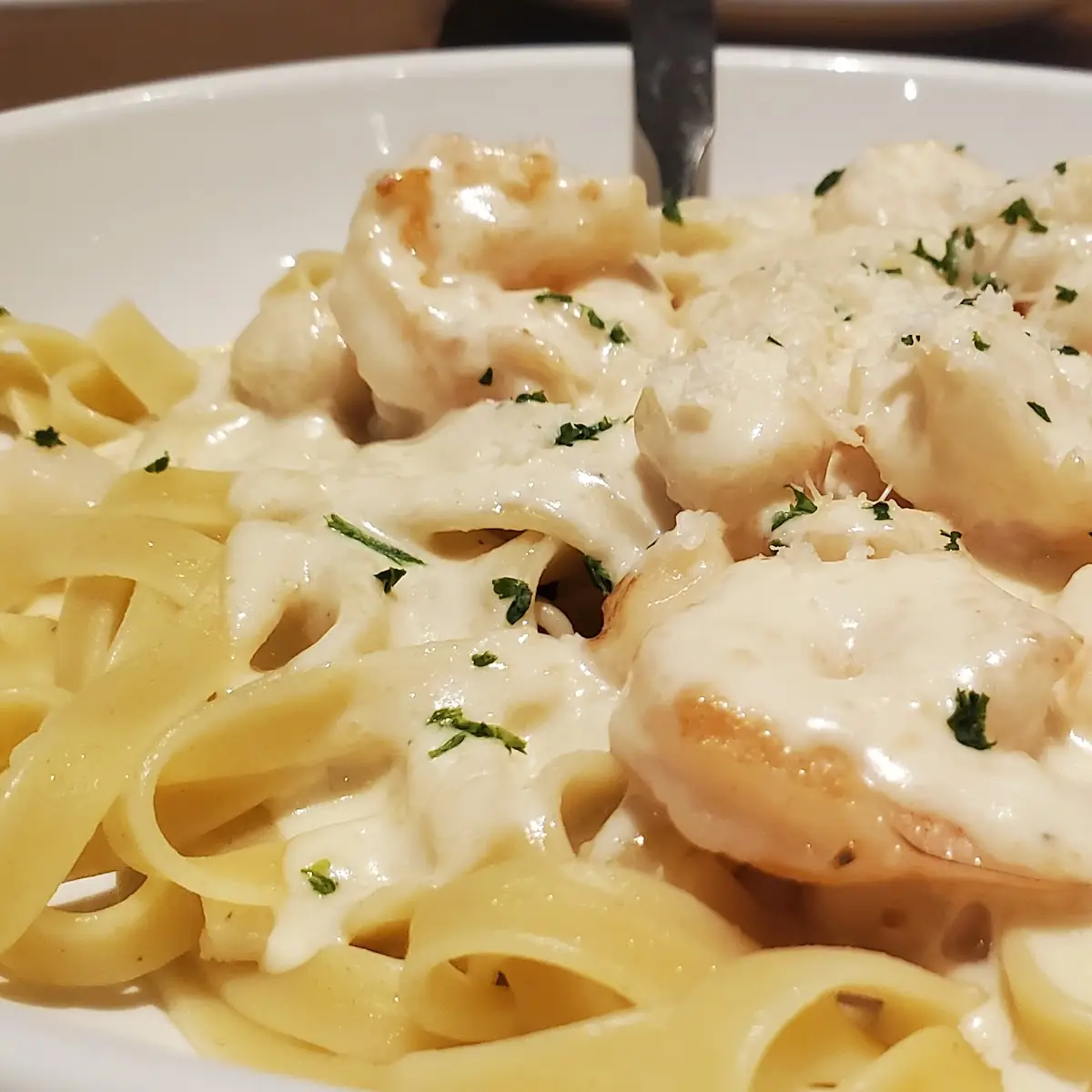 Shrimp Alfredo