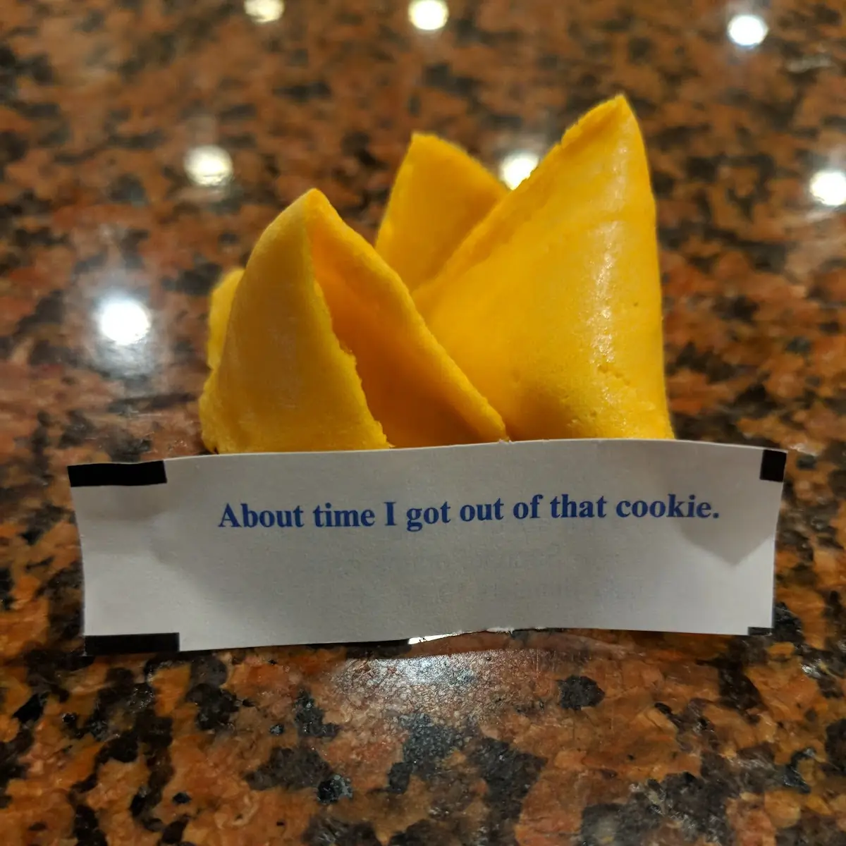Fortune Cookies
