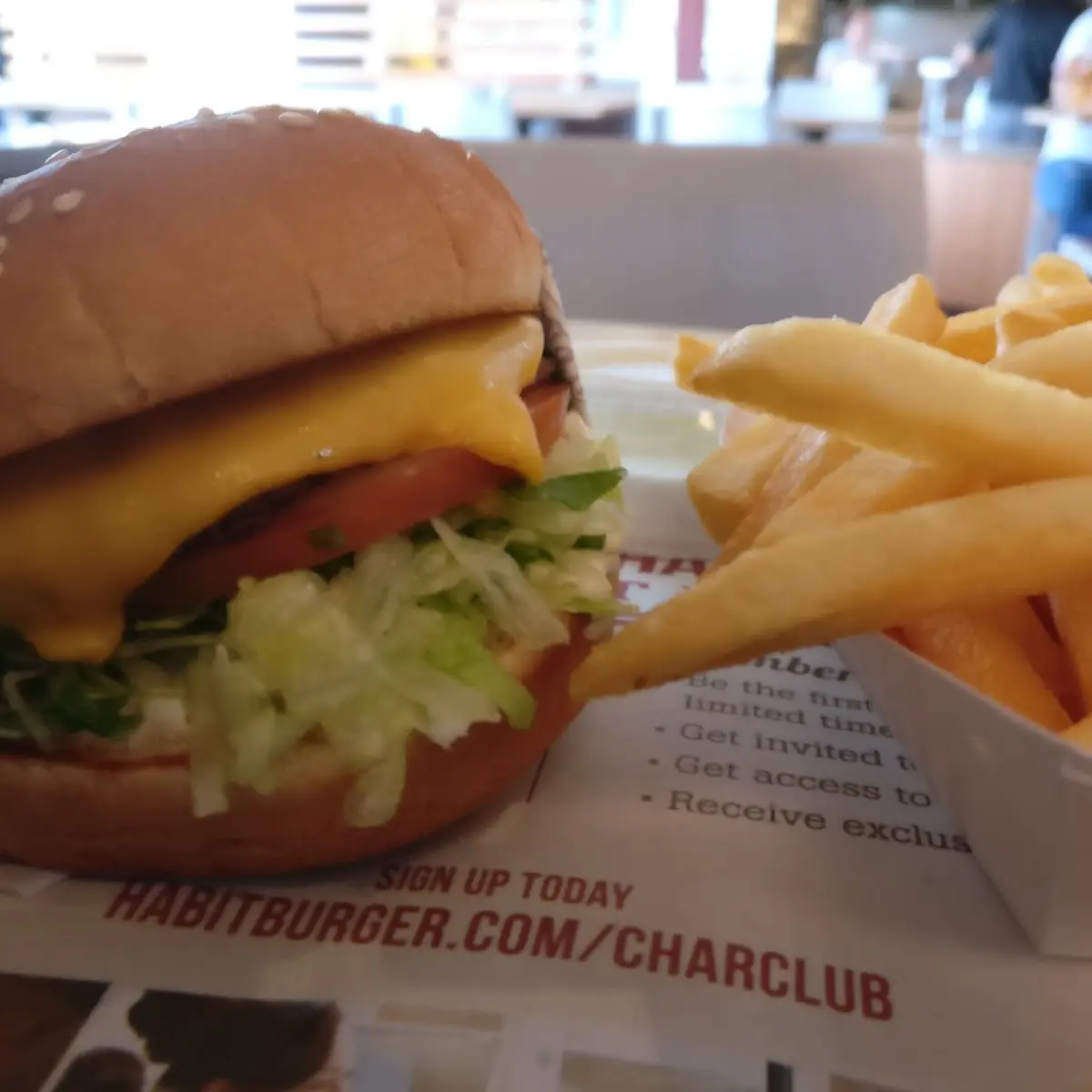 Burger Combo