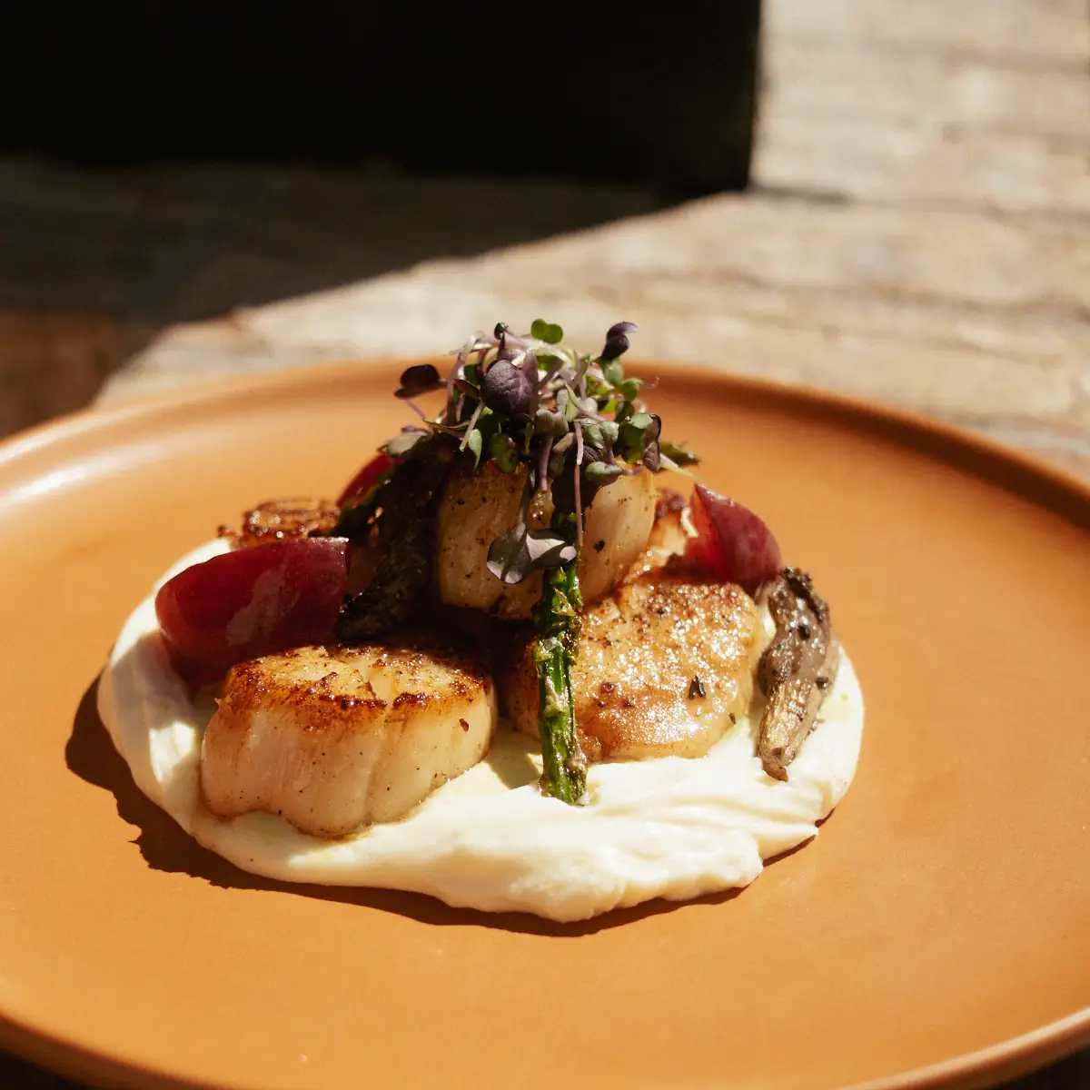 Seared Scallops
