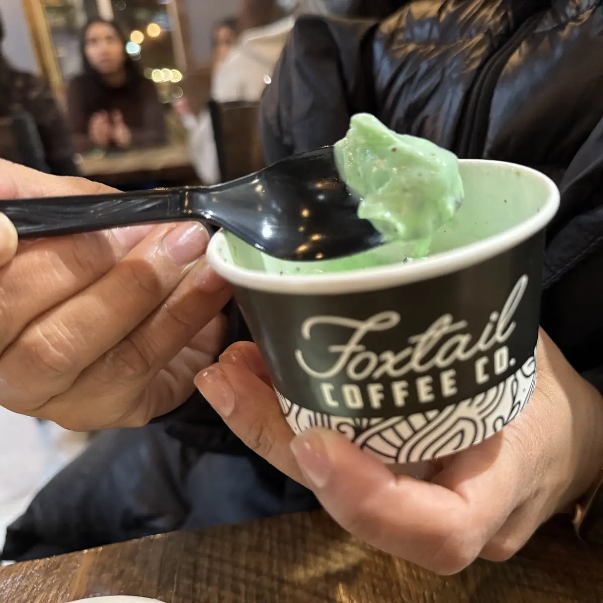Mint Choco Chip Gelato