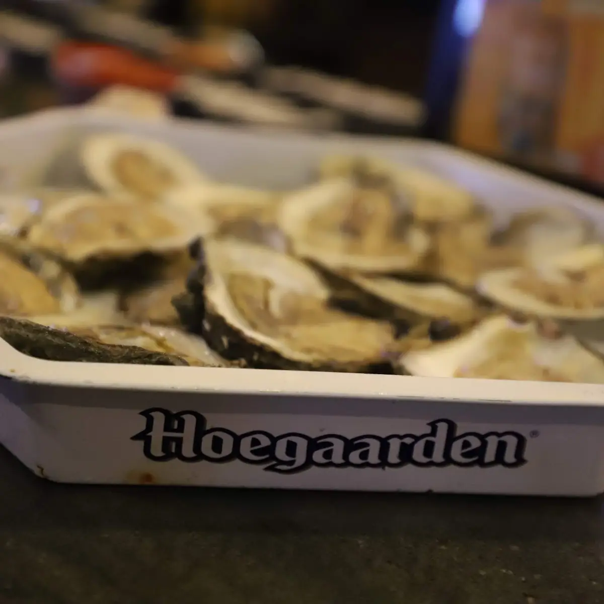 Raw Oysters on the Half Shell