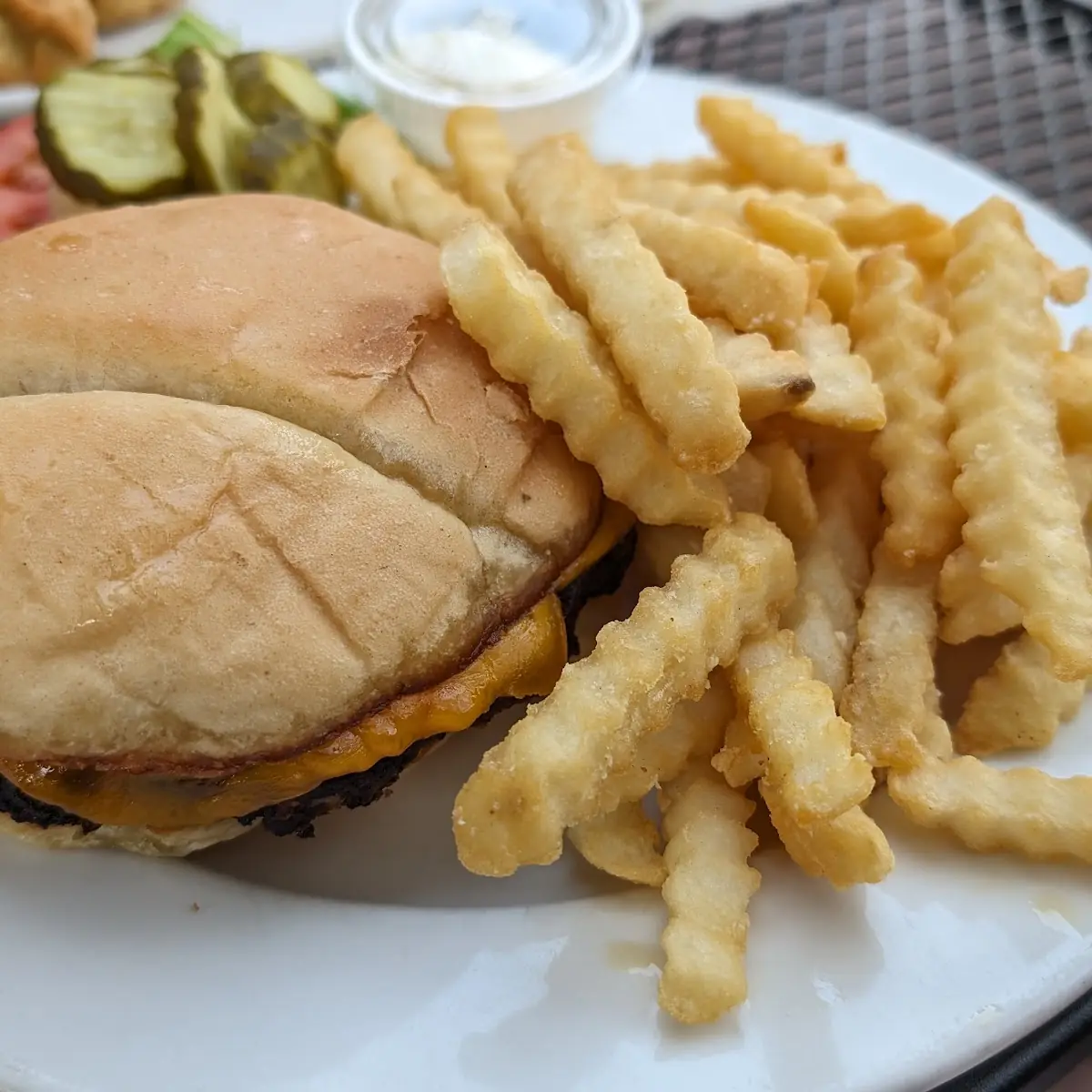 Black Bean Burger and Fries