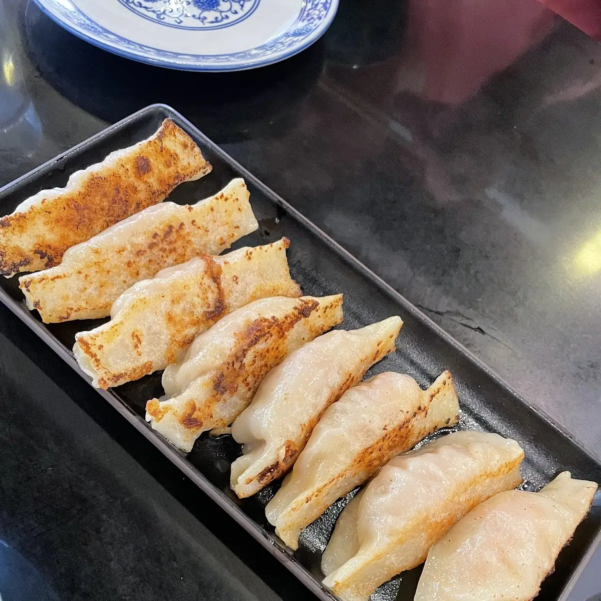 Pan Fried Pork Dumplings