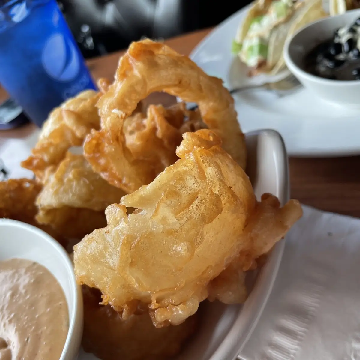 Onion Rings Or
