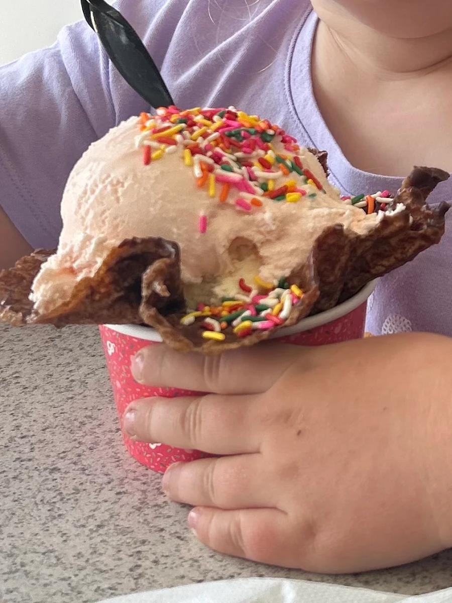 Birthday Cake & Cotton Candy Ice Cream Cone