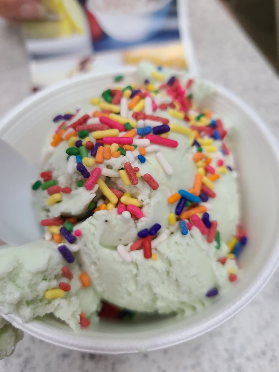 Mint Chocolate Chip Ice Cream