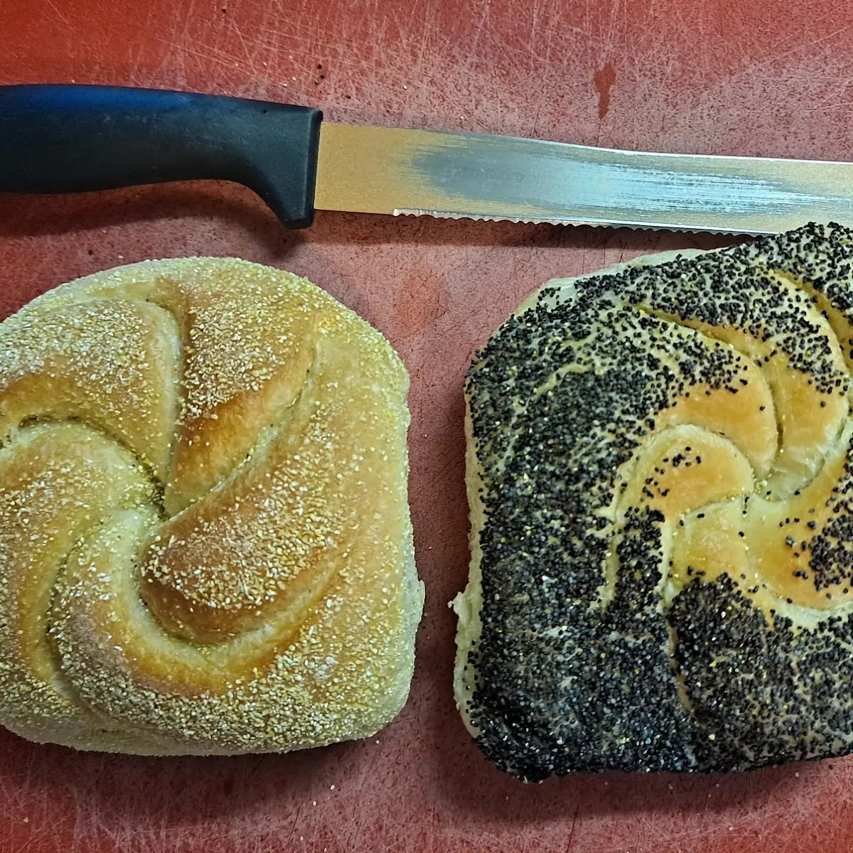 1 2 Dozen Poppy Seed Hard Rolls
