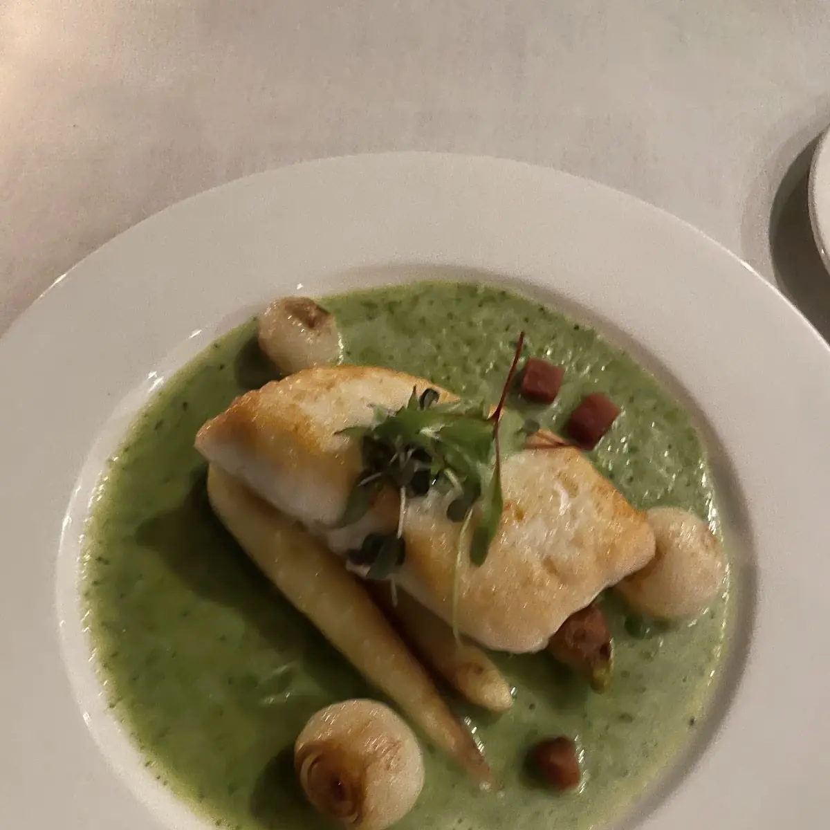 Sea Bass