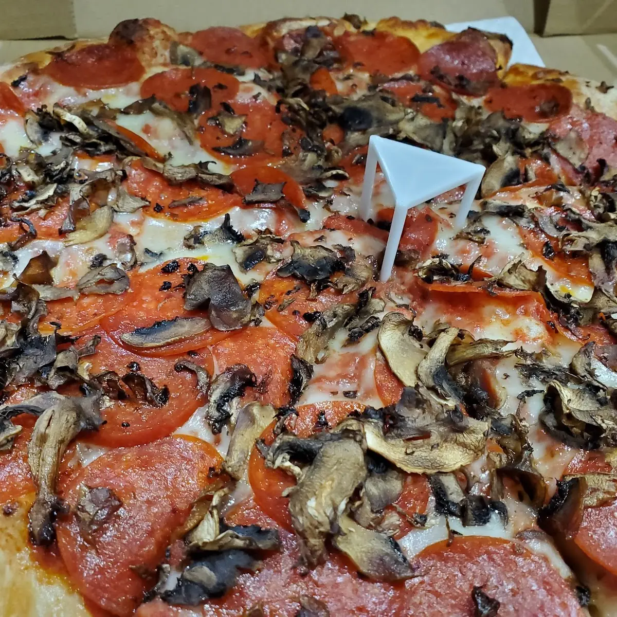 Pepperoni and Mushroom Pizza