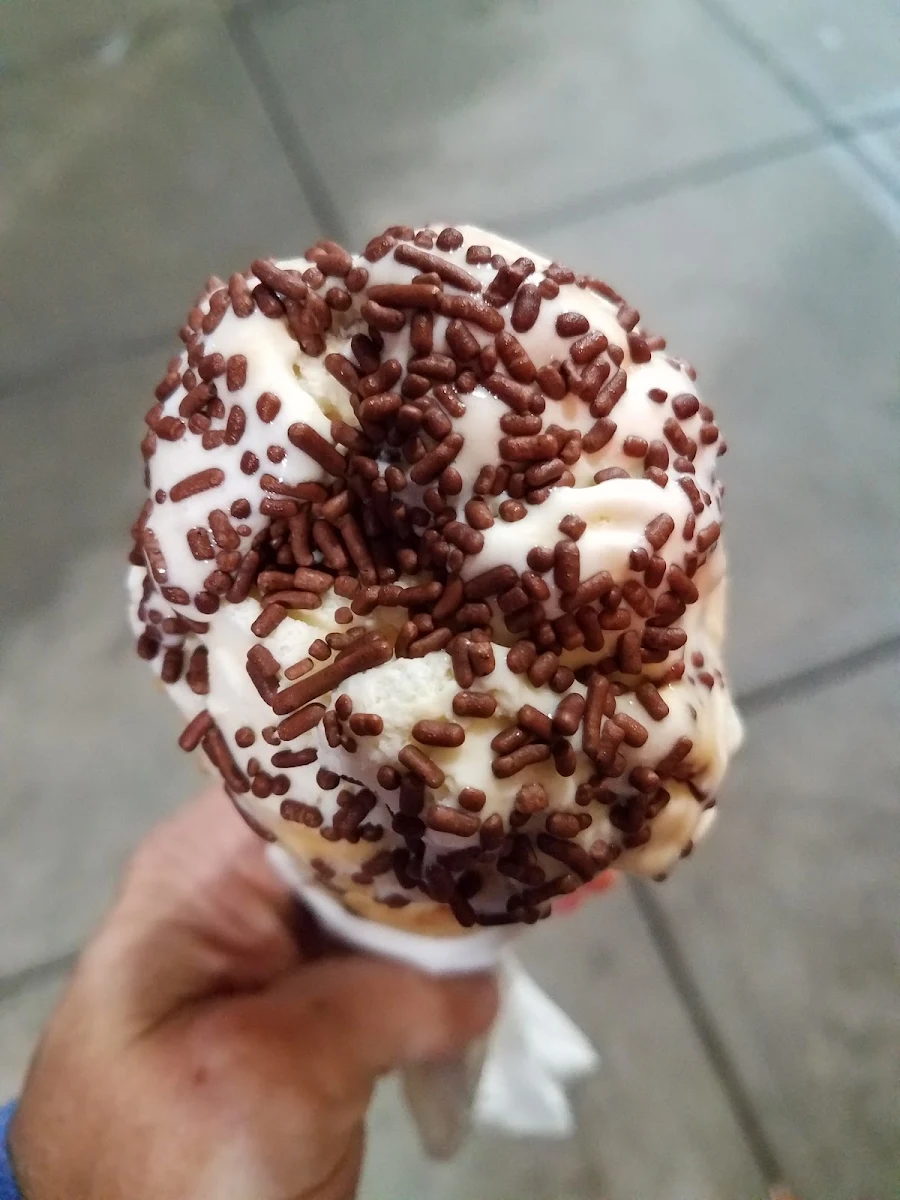 Turtle Ice Cream with Chocolate Sprinkles