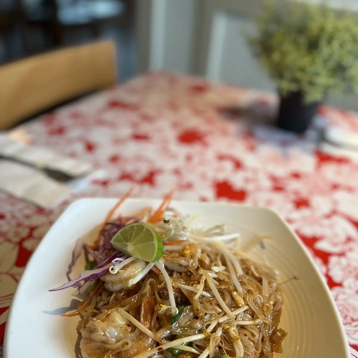 Silver Noodle Pad Woon-Sen