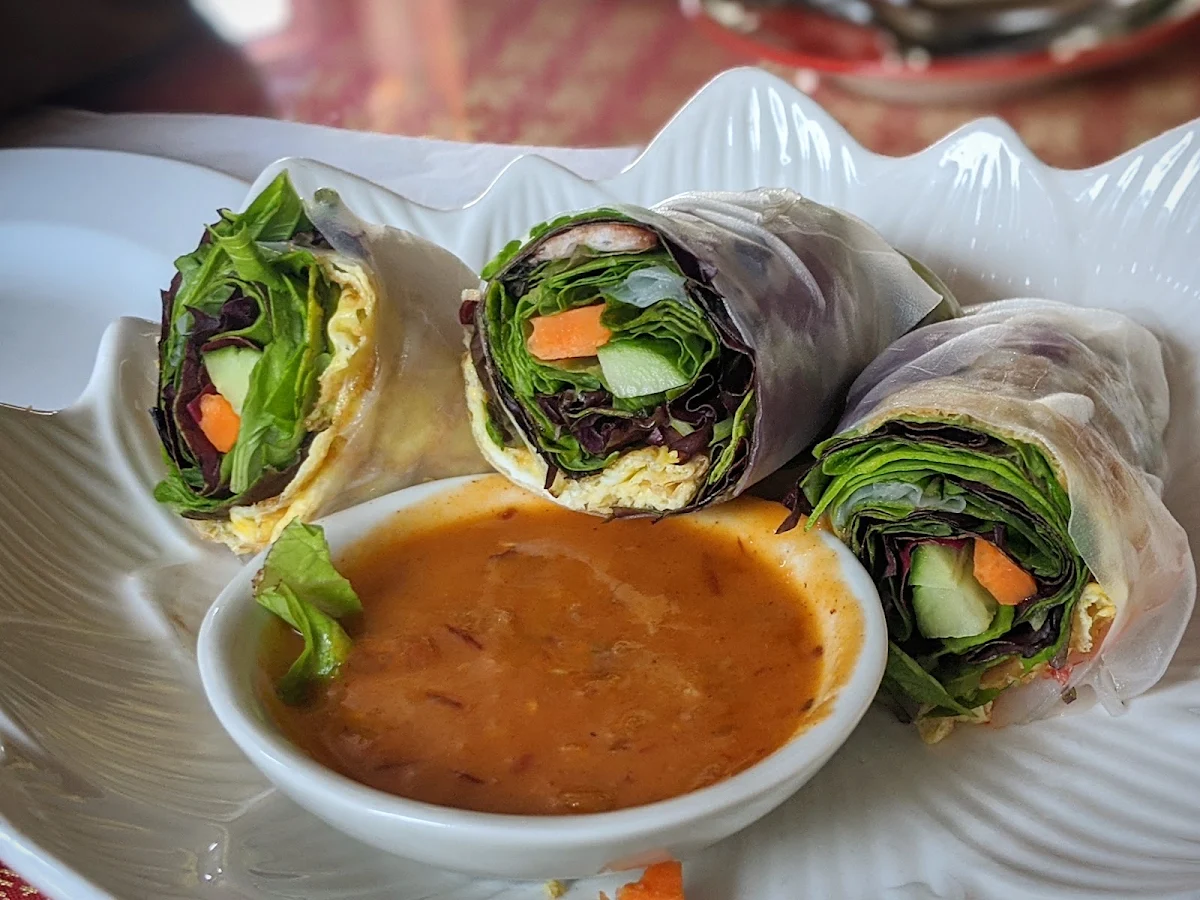 Fresh Salad Rolls