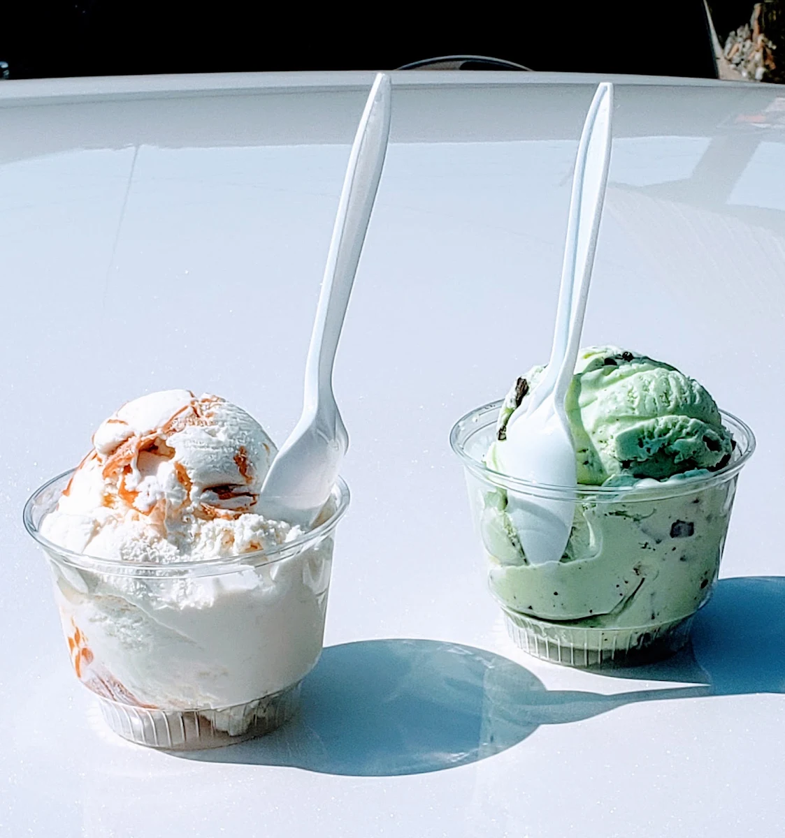 Mint Chocolate Chip