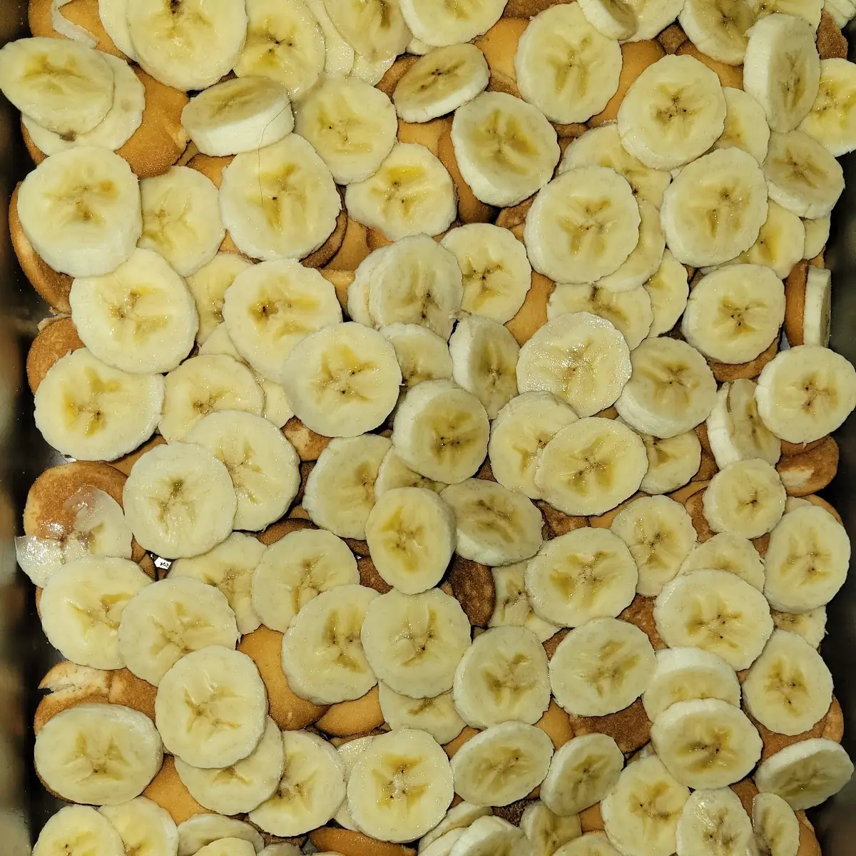 Banana Pudding