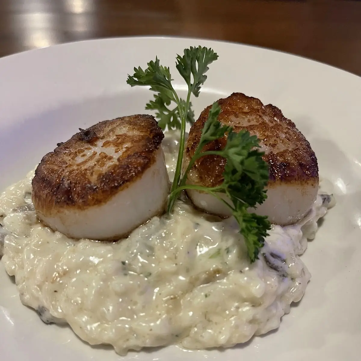 Seared Scallops on Mushroom Risotto