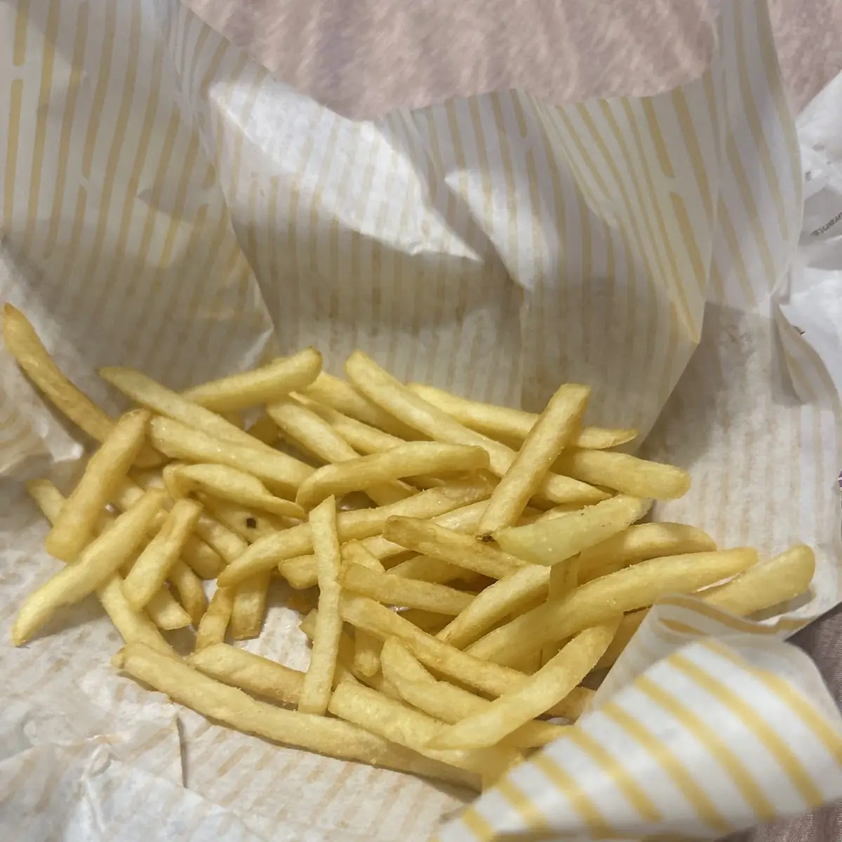 World Famous Fries