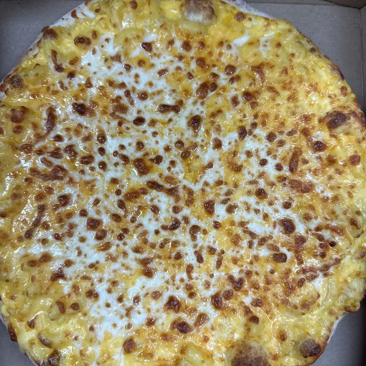 Cheese Pizza