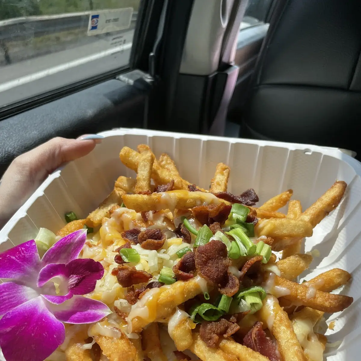 Loaded Fries