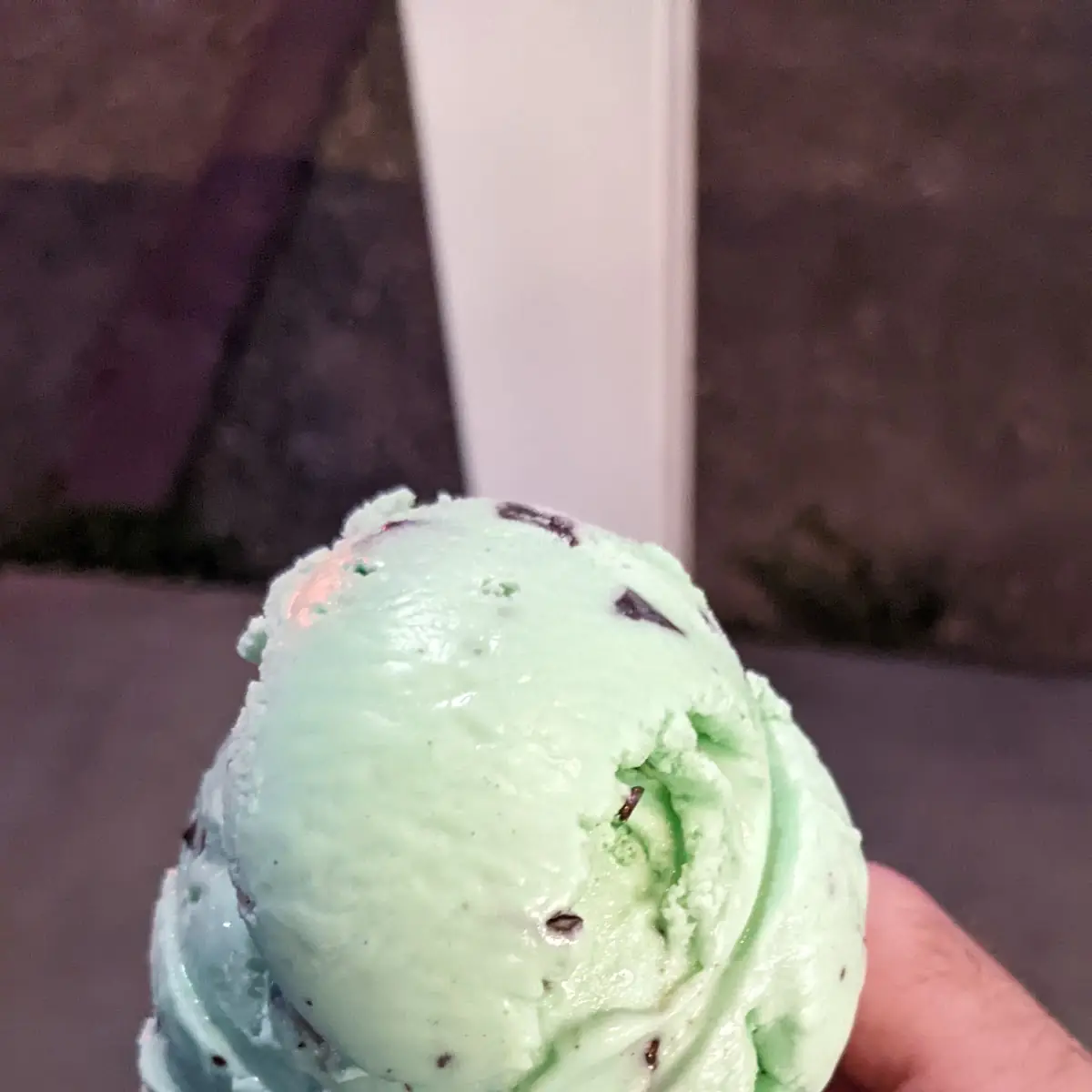 Mint Chocolate Chip