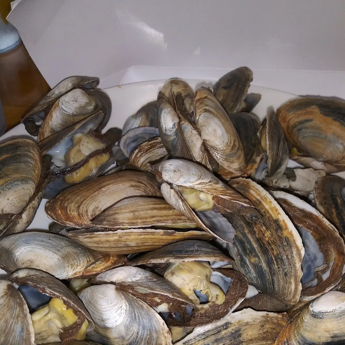 Steamed Clams