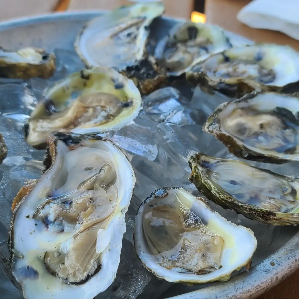 Oyster Platter