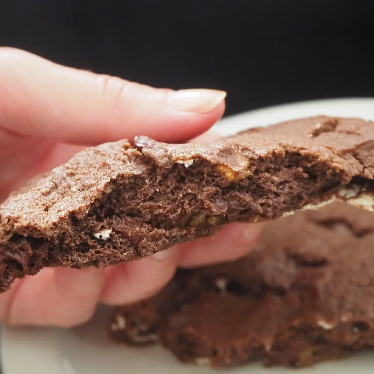 Double Chocolate Chunk Cookie