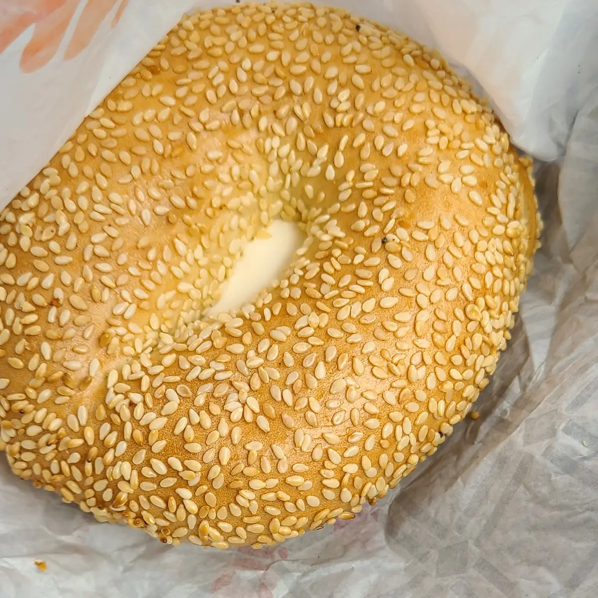 Sesame Bagel with Cream Cheese