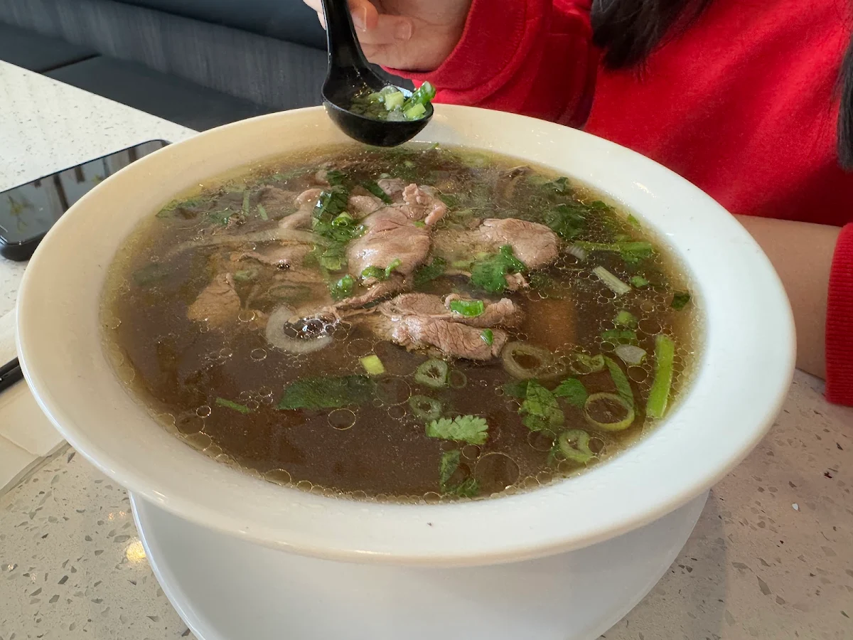 Large Rare Beef and Brisket Pho