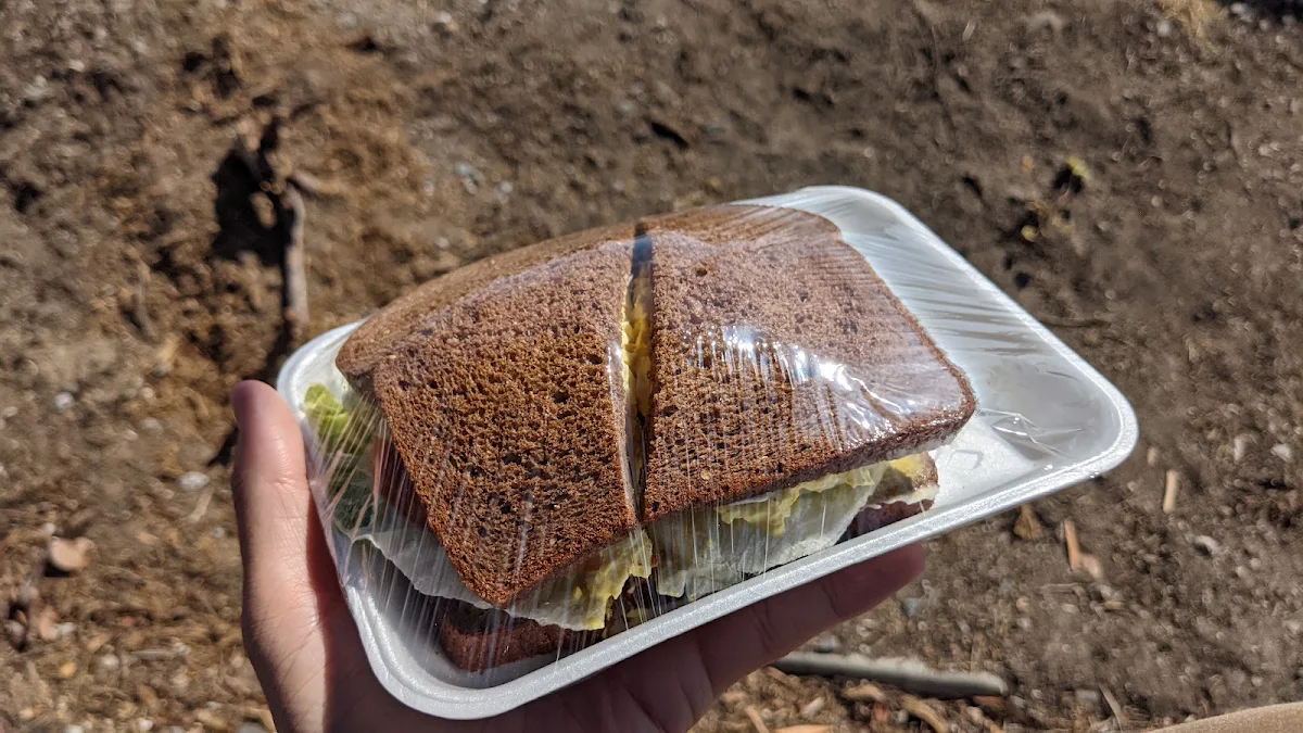 Egg and Cheese Sandwich