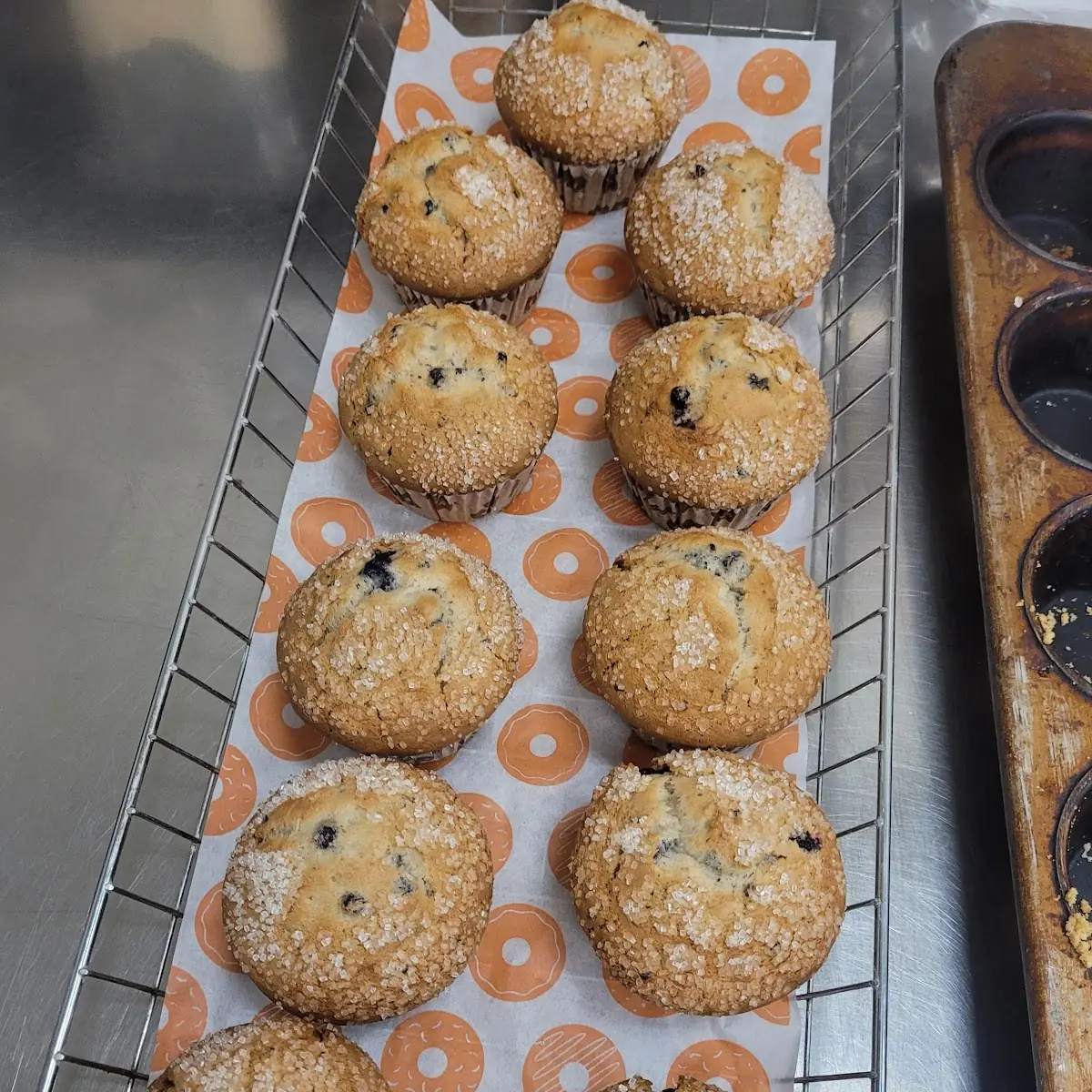 Blueberry Muffin