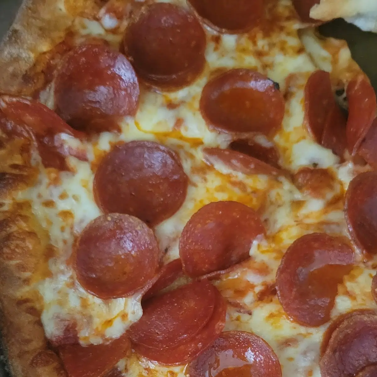 Meat Pizza