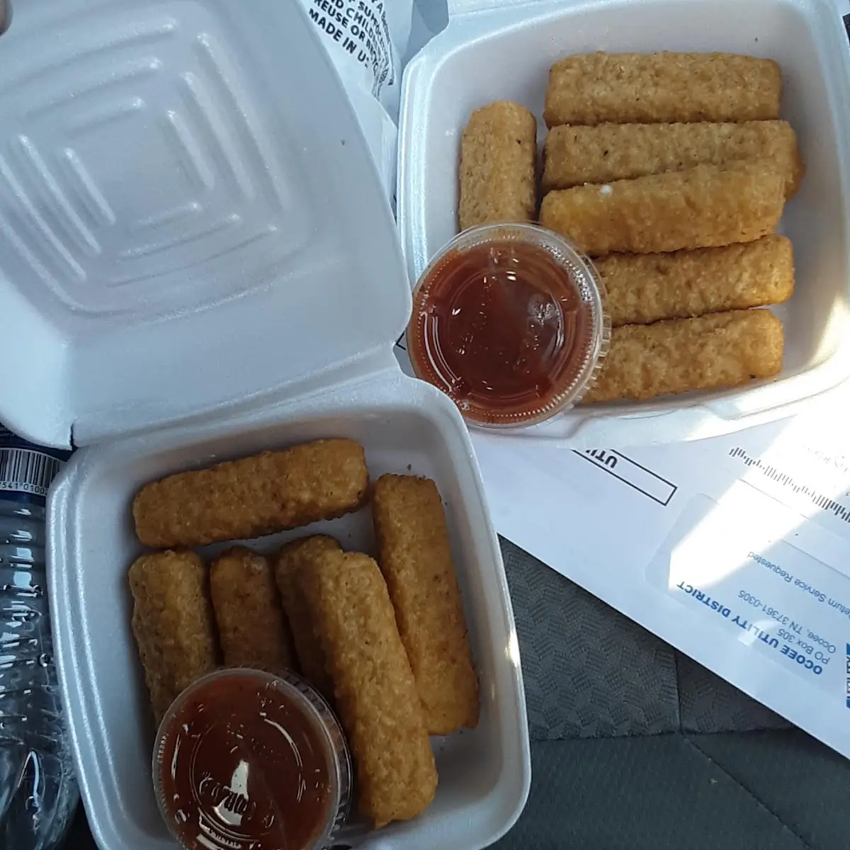 Mozzarella Cheese Sticks