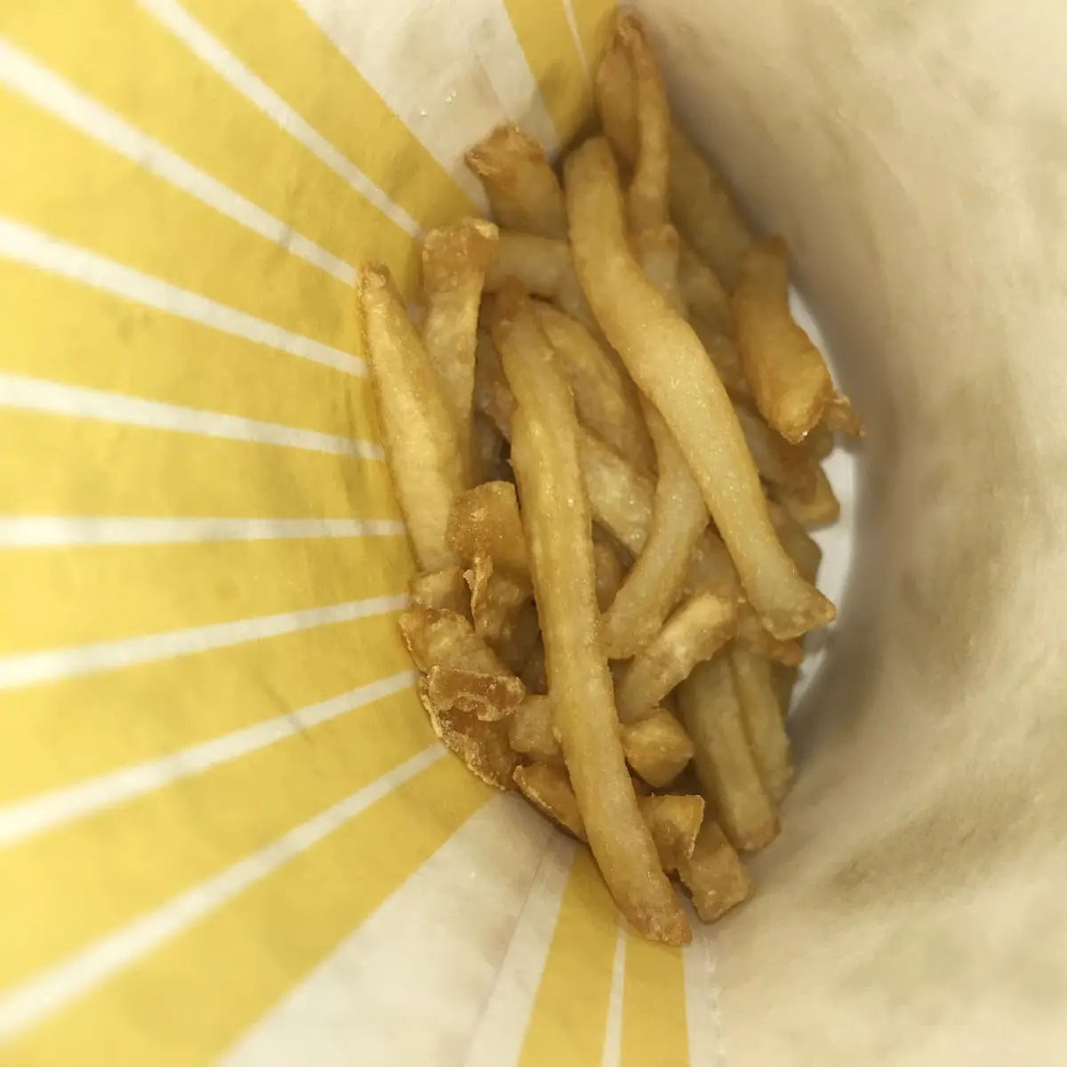 World Famous Fries