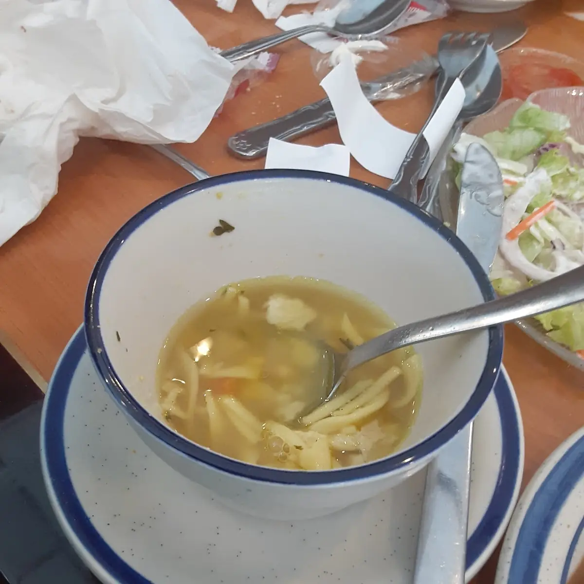 Chicken Noodle Soup