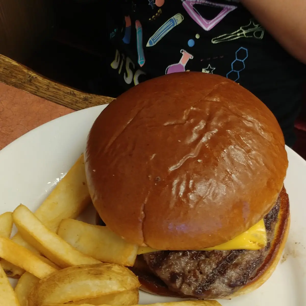 Cheese Burger and Fries