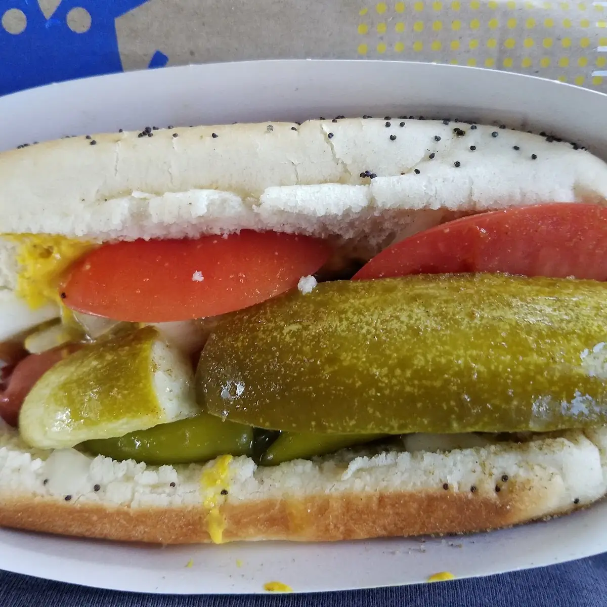 Chicago-Style Hot Dog