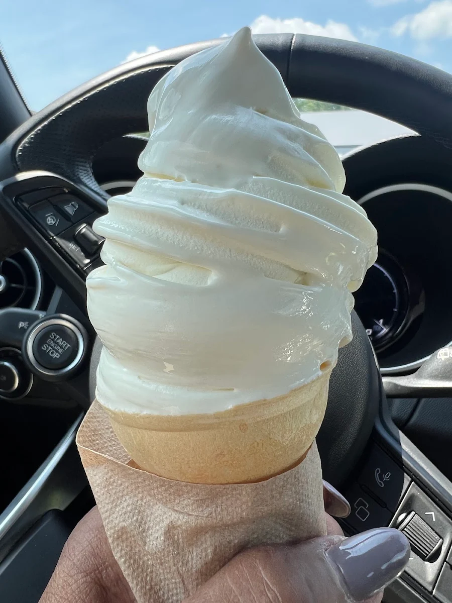 Vanilla Custard