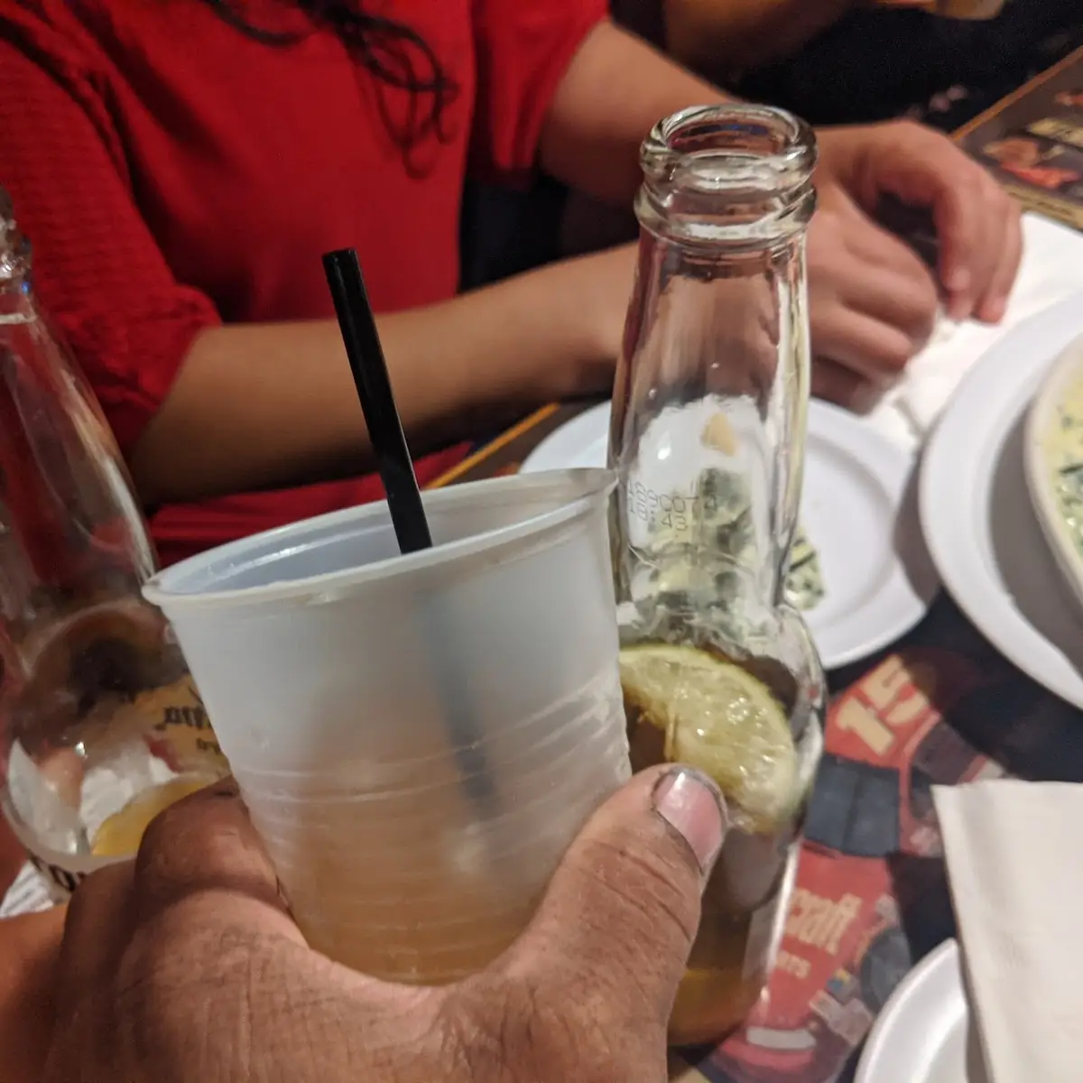 Corona Extra and Long Island