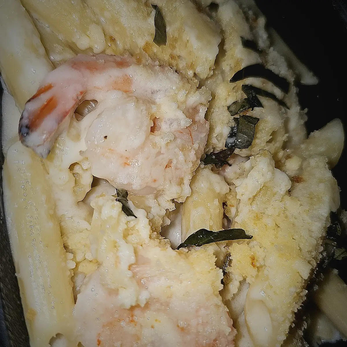 Shrimp Alfredo