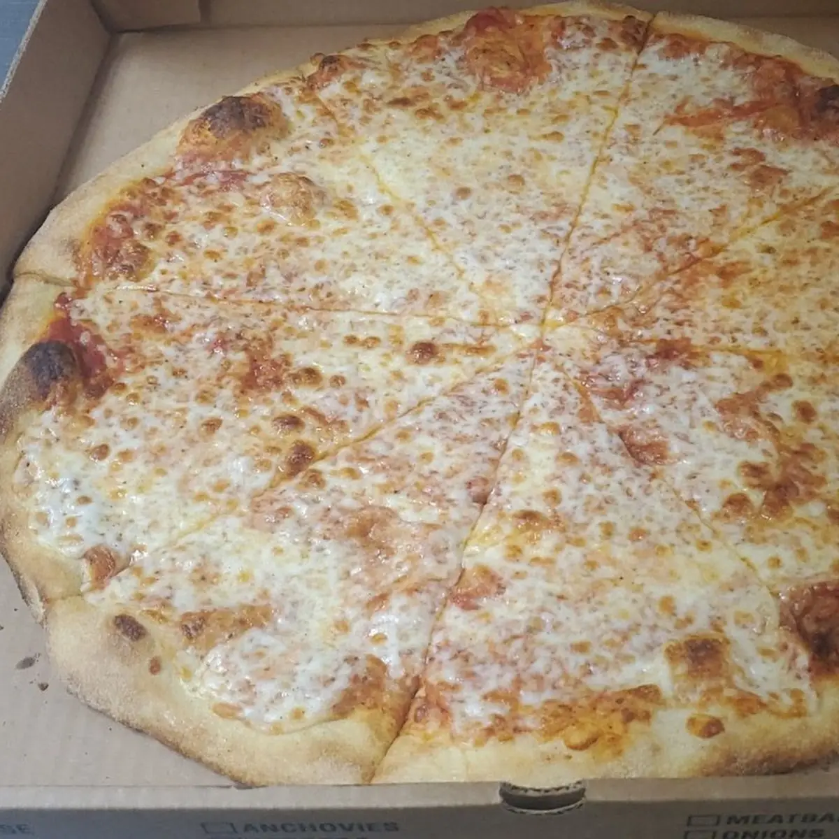 Large Cheese Pizza