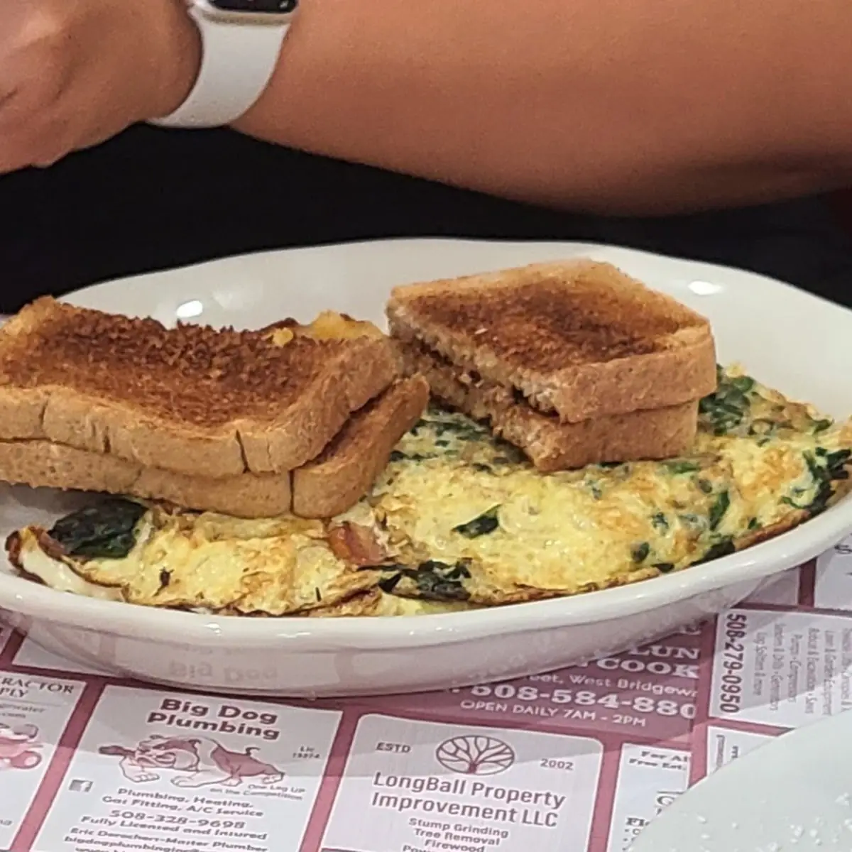 Avocado Omelette