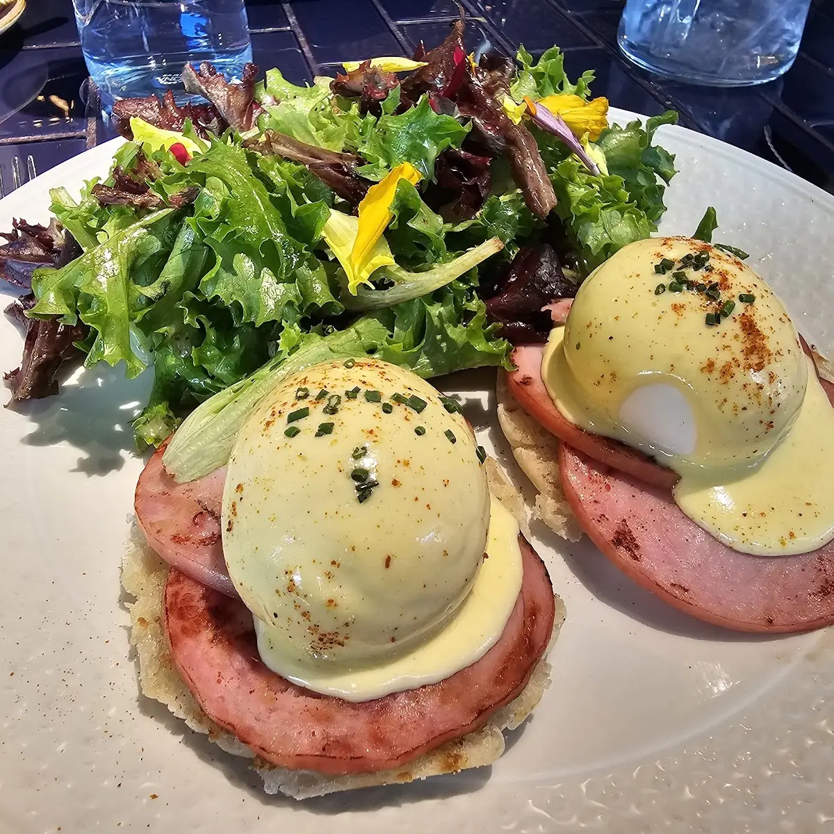 Eggs Benedict