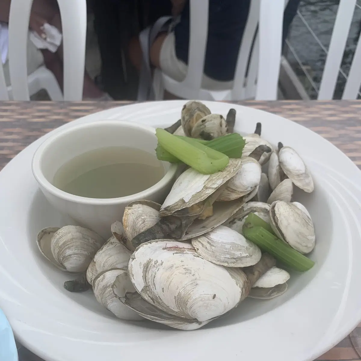 Steamed Clams