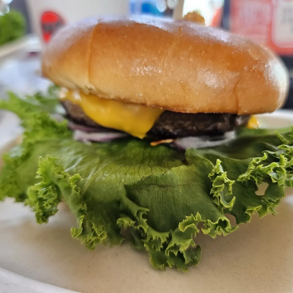 Cheese Burger and Fries